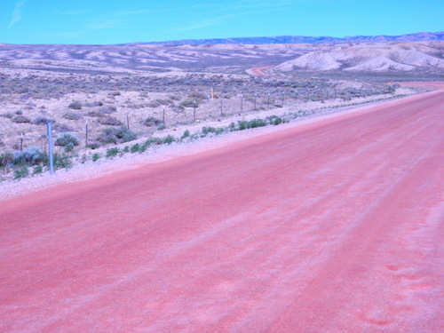 GDMBR, 23 June 2013, between Sage Creek and Teton Reservoir, WY, 7000'/2100m.